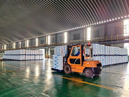 中越公鐵聯(lián)運國際貨運專列在西寧首發(fā)1200噸pvc出口越南